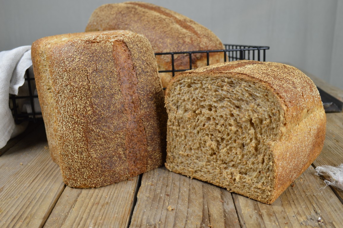 Polder volkorenbrood